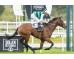  Carrera: P.Ercolini Monta: R.Sousa Caballo: Rojiblanco